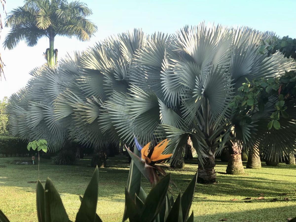 Casa De Campo Sao Paulo Villa El Edén Kültér fotó